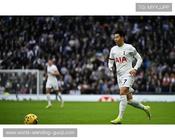 汉堡俱乐部新赛季阵容调整引发关注球迷热议未来发展方向